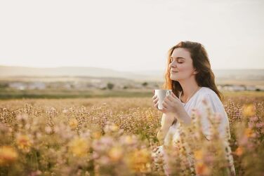 Кружка с ручкой 0,35 л, набор 6 предметов, розовые Amina Rose Seltmann Weiden