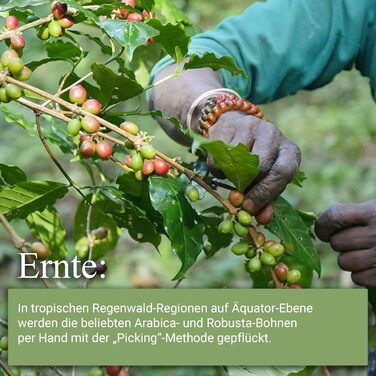 Кофемашина капсульная белая Smart Martello и набор из 100 кофейных капсул Martello