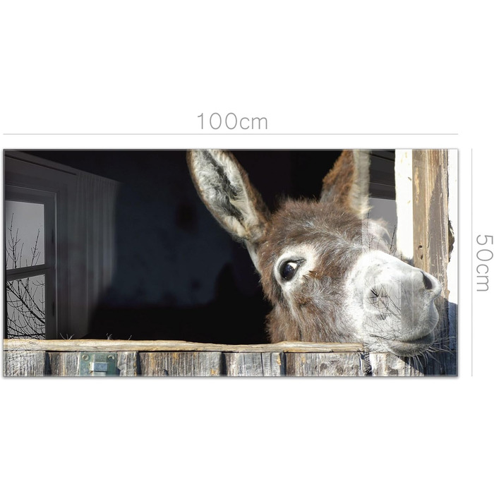 Кухонний фартух timalo зі скляним виглядом Акрилове скло 2 мм Бризкозахисна стіна для плити, скляний фартух, акрилові скляні стінові панелі, захисна панель для фартуха Бетонно-блакитно-сірий (100x50 см, 240- Donkey)