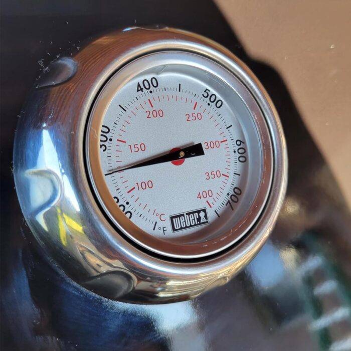 Термометр для гриля Vialex