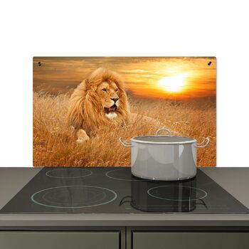 розмір: 52,7 д x 91,6 в см