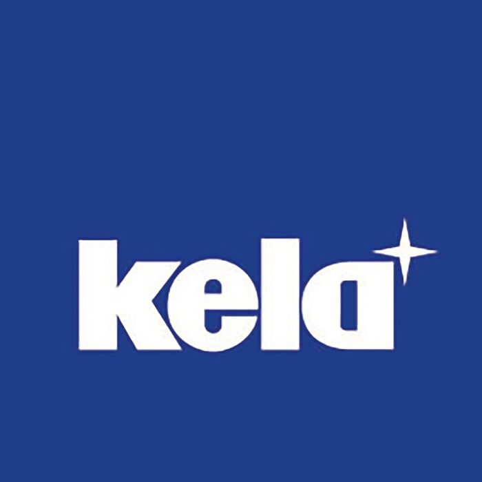 Жаровня 8 л овальная со стеклянной крышкой с термометром для мяса KERROS Kela