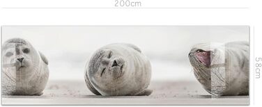 Кухонний фартух Timalo зі скляним виглядом Північне море, очерет, захід сонця, океан, солома 2-мм акрилове скло Бризкозахисна стінка для плити, скляний кухонний фартух, акрилові скляні стінові панелі, захисна панель для фартуха (200 x 58 см, 307- Seals)