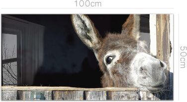 Кухонний фартух timalo зі скляним виглядом Акрилове скло 2 мм Бризкозахисна стіна для плити, скляний фартух, акрилові скляні стінові панелі, захисна панель для фартуха Бетонно-блакитно-сірий (100x50 см, 240- Donkey)