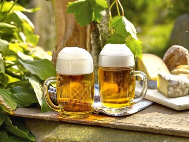 Набор пивных кружек 6 шт 500 мл Stölzle Lausitz