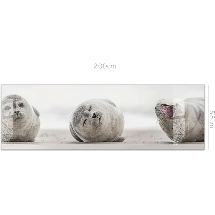 Кухонний фартух Timalo зі скляним виглядом Північне море, очерет, захід сонця, океан, солома 2-мм акрилове скло Бризкозахисна стінка для плити, скляний кухонний фартух, акрилові скляні стінові панелі, захисна панель для фартуха (200 x 58 см, 307- Seals)