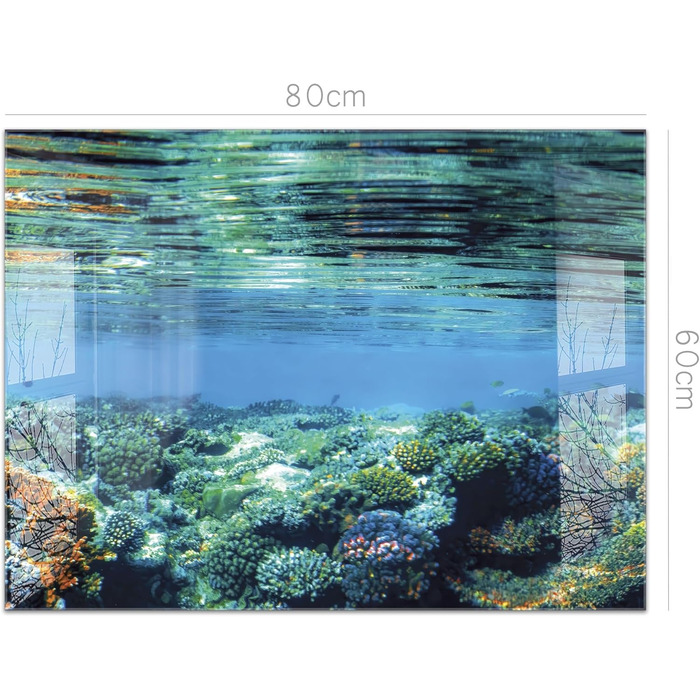 Кухонний фартух timalo зі скляним виглядом Північне море, очерет, захід сонця, океан, солома 2-мм акрилове скло Бризкозахисна стінка для плити, скляний кухонний фартух, акрилові скляні стінові панелі, захисна панель для фартуха (80 x 60 см, 311- Coral Ree