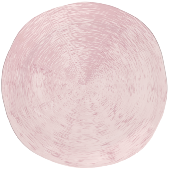 Тарелка обеденная Luminarc Artasym Metersy 27 см (7053935)