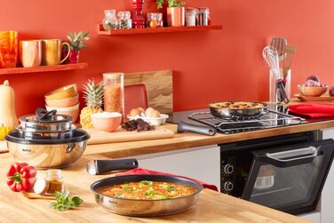 Tefal Набір посуду Ingenio ON, 20