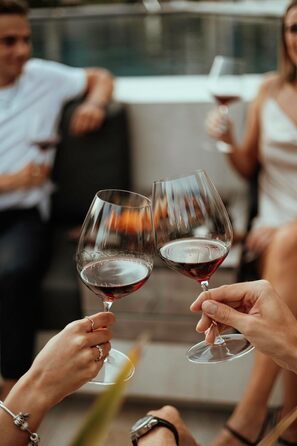 Набір з 2 келихів для червоного вина Каберне/Мерло 834 мл, Performance Riedel
