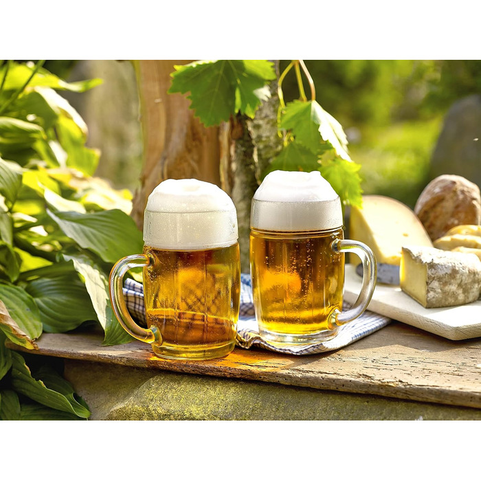 Набор пивных кружек 6 шт 500 мл Stölzle Lausitz