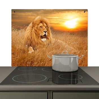 розмір: 52д x 80в см