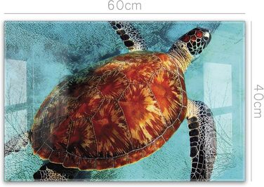 Кухонний фартух timalo зі скляним виглядом Північне море, очерет, захід сонця, океан, солома 2 мм акрилове скло Бризокості для плити, кухонний скляний фартух, акрилові скляні стінові панелі, захисна панель для фартуха (60 x 40 см, 310- Черепаха)