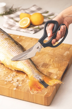 Ножиці кухонні Tramontina Supercort (6591622)