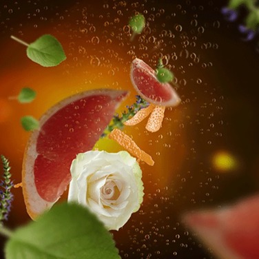 Диффузор для автомобиля Maison Berger Paris ROSALIE с ароматом EXQUISITE SPARKLE