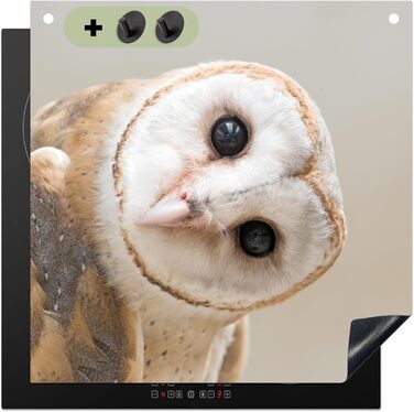 Фартух для плити, кухонний фартух, вініл, 78x52 см, декор для кухні, облицювання стіни, кришка для плити - сіро-чорна (сипуха - тварина, 78Д x 78Ш см)