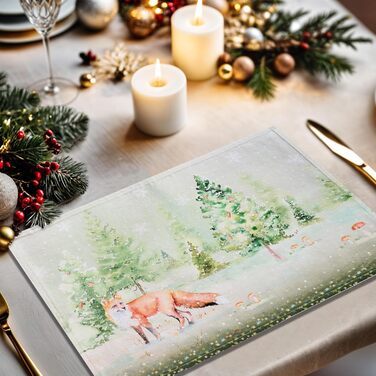 Бавовняні килимки, набір з 4 шт. , декоративні килимки, пасхальні килимки, що миються, для свят, вечерь, весни, літа (33 см x 48 см) (22 - Зимові ранки), 39Hermine, 100