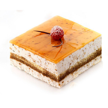 TOR100x100 H40/1 Форма из резины