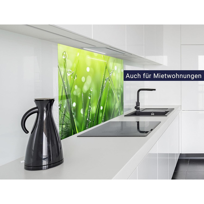 Кухонний фартух timalo зі скляним виглядом Північне море, очерет, захід сонця, океан, солома 2 мм акрилове скло Бризокості для плити, кухонний скляний фартух, акрилові скляні стінові панелі, захисна панель для фартуха (60 x 60 см, 315- Зелена трава)