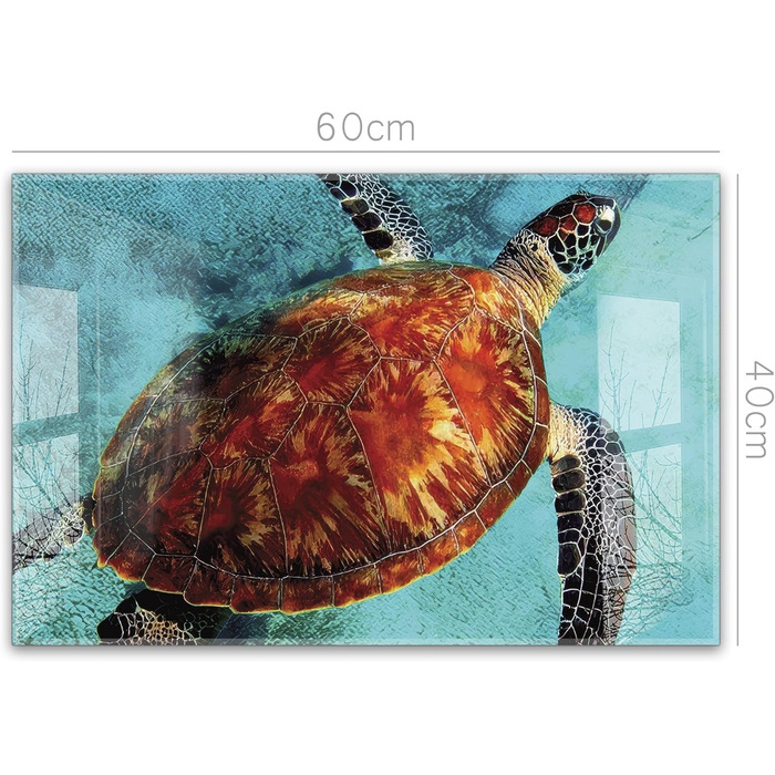 Кухонний фартух timalo зі скляним виглядом Північне море, очерет, захід сонця, океан, солома 2 мм акрилове скло Бризокості для плити, кухонний скляний фартух, акрилові скляні стінові панелі, захисна панель для фартуха (60 x 40 см, 310- Черепаха)